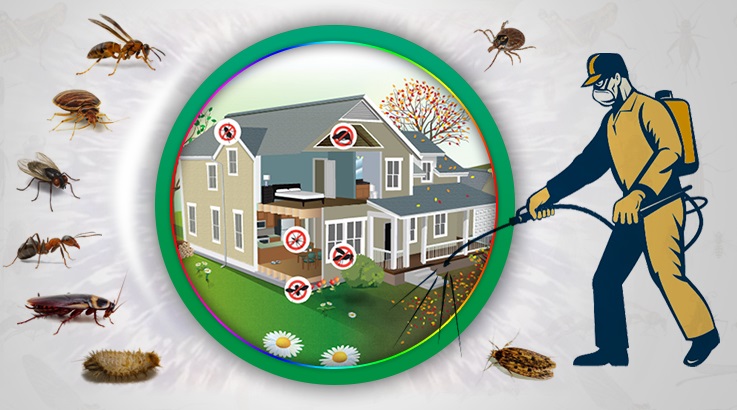 Alsancak Böcek İlaçlama