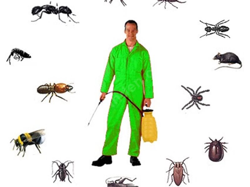 Alsancak Böcek İlaçlama